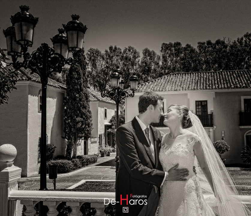 Boda guadalmina baja