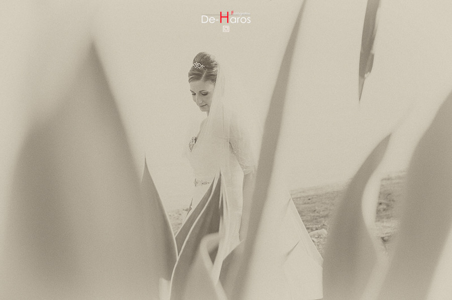 Boda original Estepona