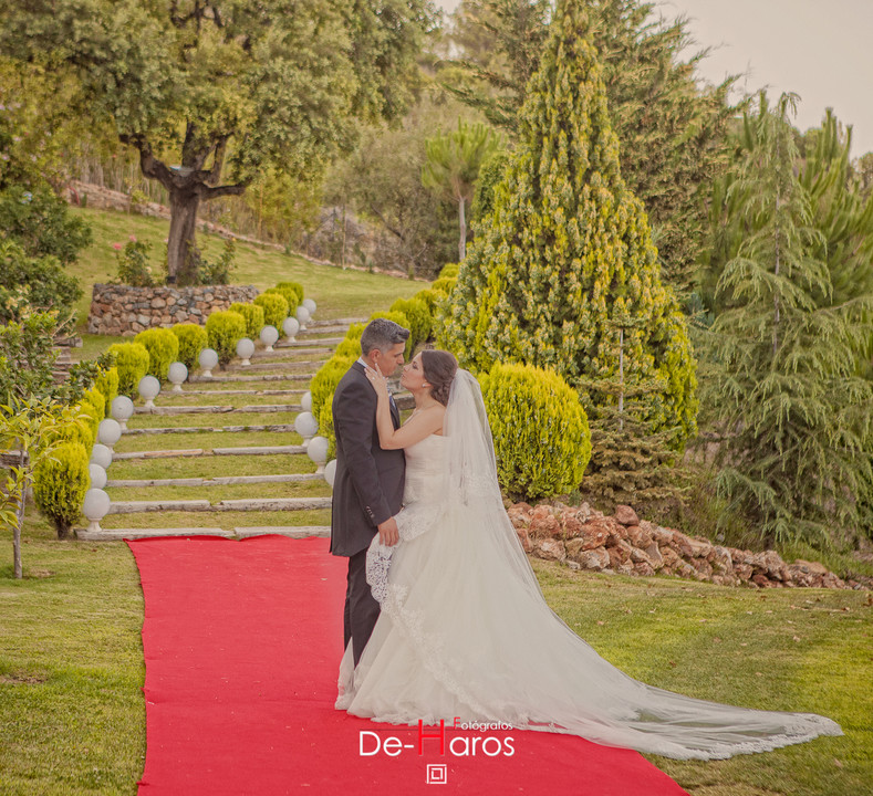 Fotógrafos de boda con encanto