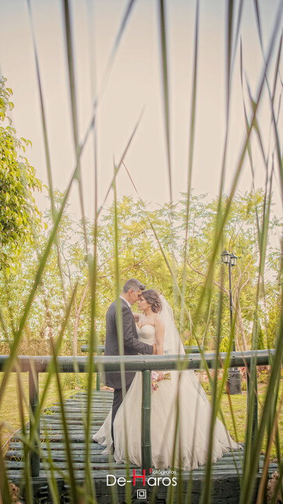 Fotografía de boda Contemporánea