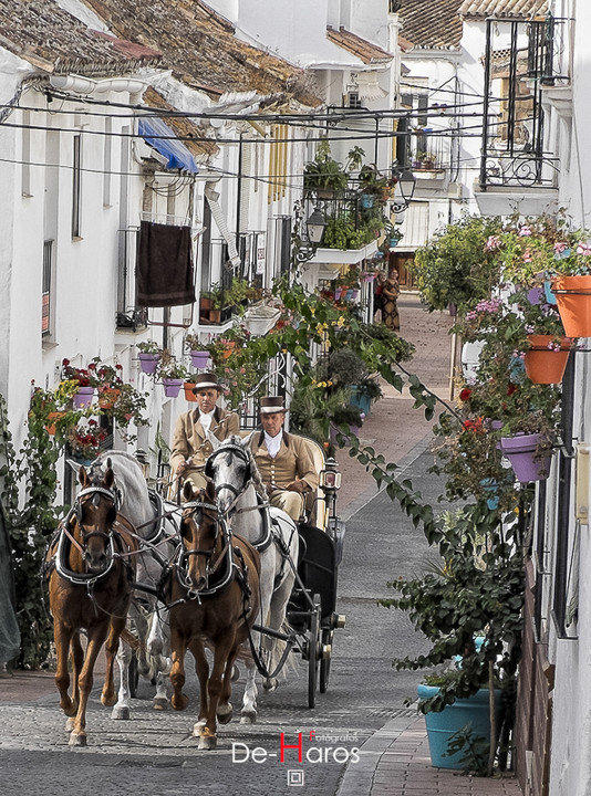 Boda clásica en Estepona
