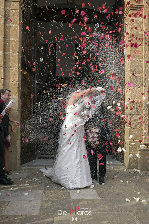 Bodas en Estepona con De Haros