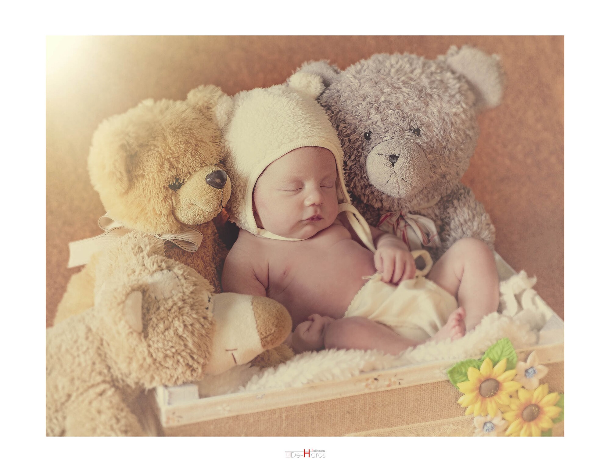 Fotos originales de Newborn