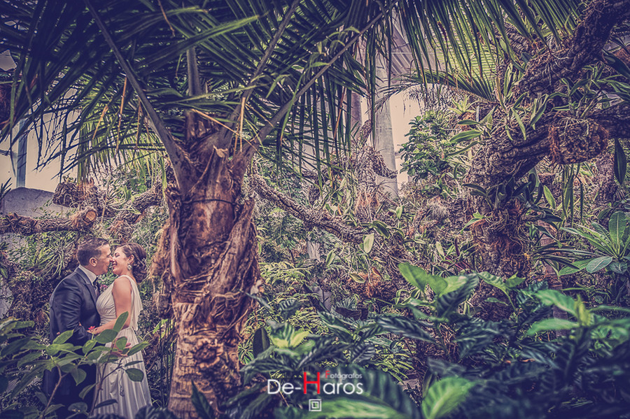 La boda de tus sueños