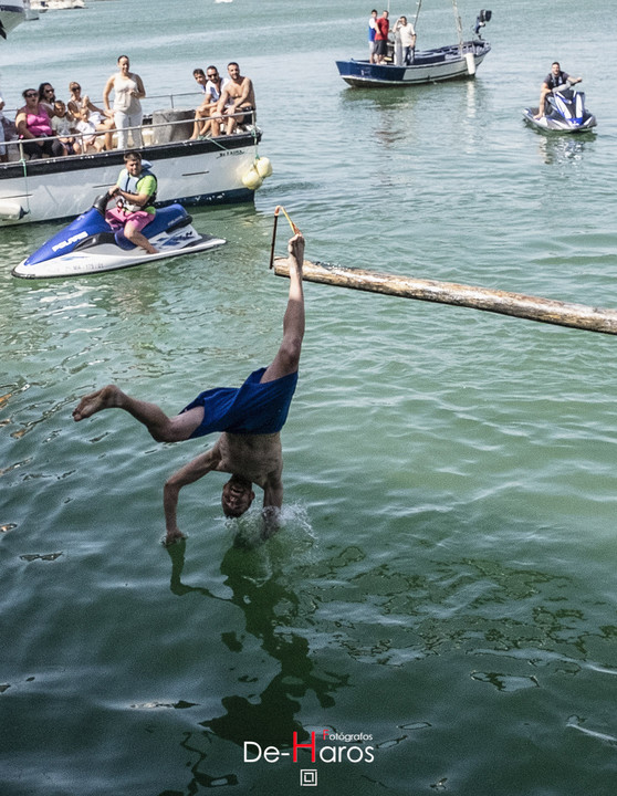 El mejor concurso de cucaña en Estepona