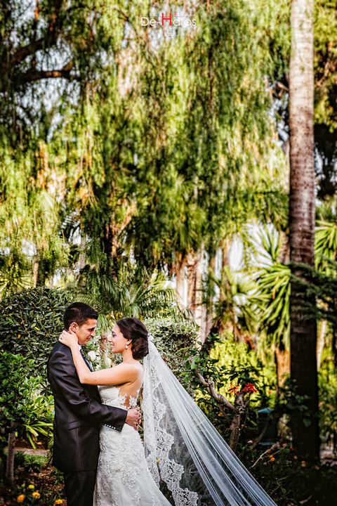 Reportaje especial de boda en Marbella