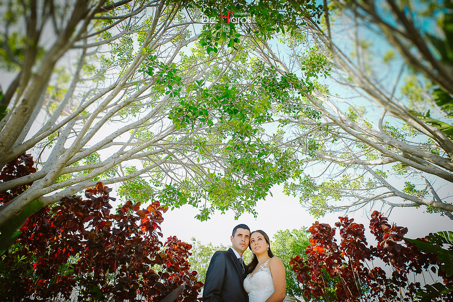 Fotografías espectaculares de boda