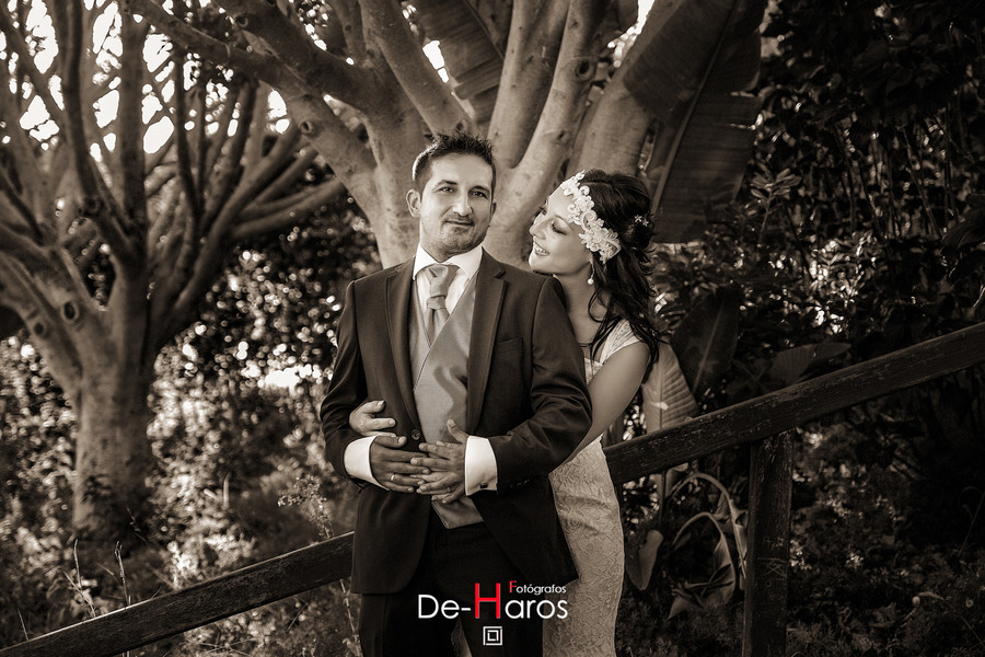 Bodas de emociones en De Haros