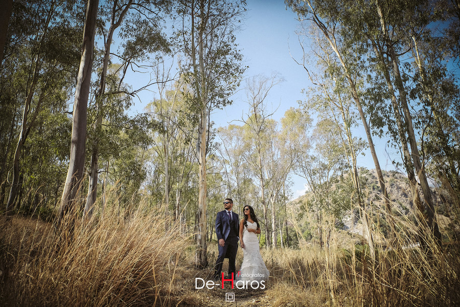 Boda en Benahavis con De Haros