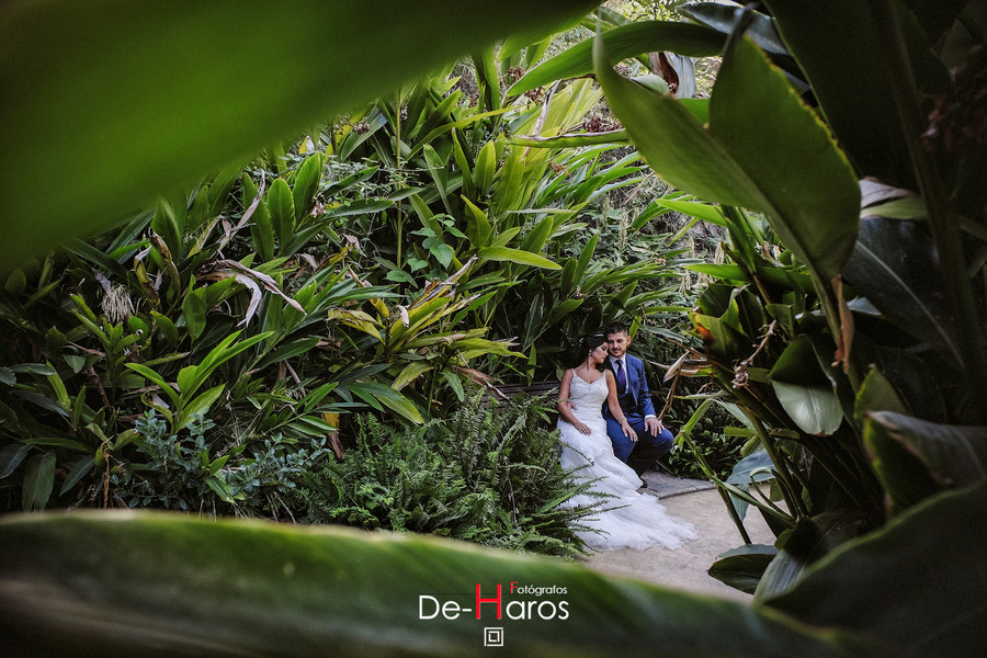 Espectaculares bodas en Marbella y costa del Sol