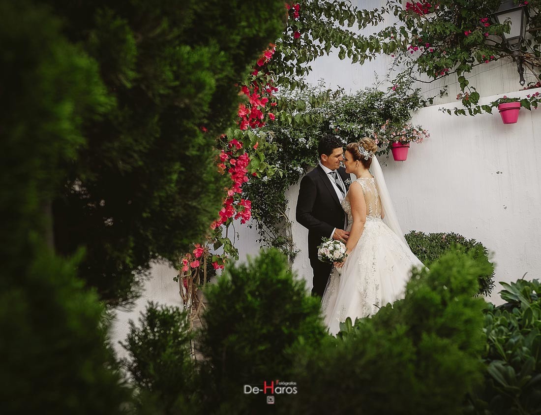 Wedding photographer Marbella. De Haros