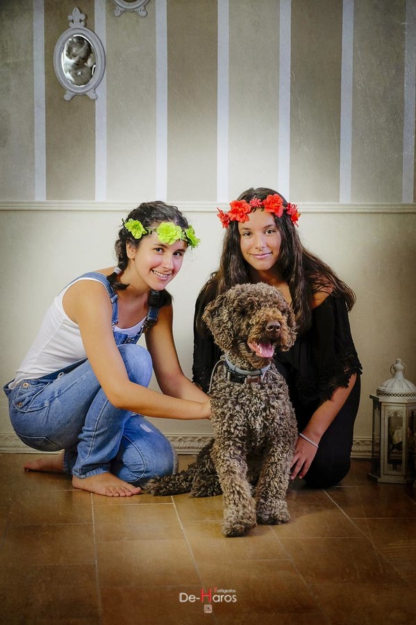 Las mejores fotos de mascotas en Estepona y Marbella